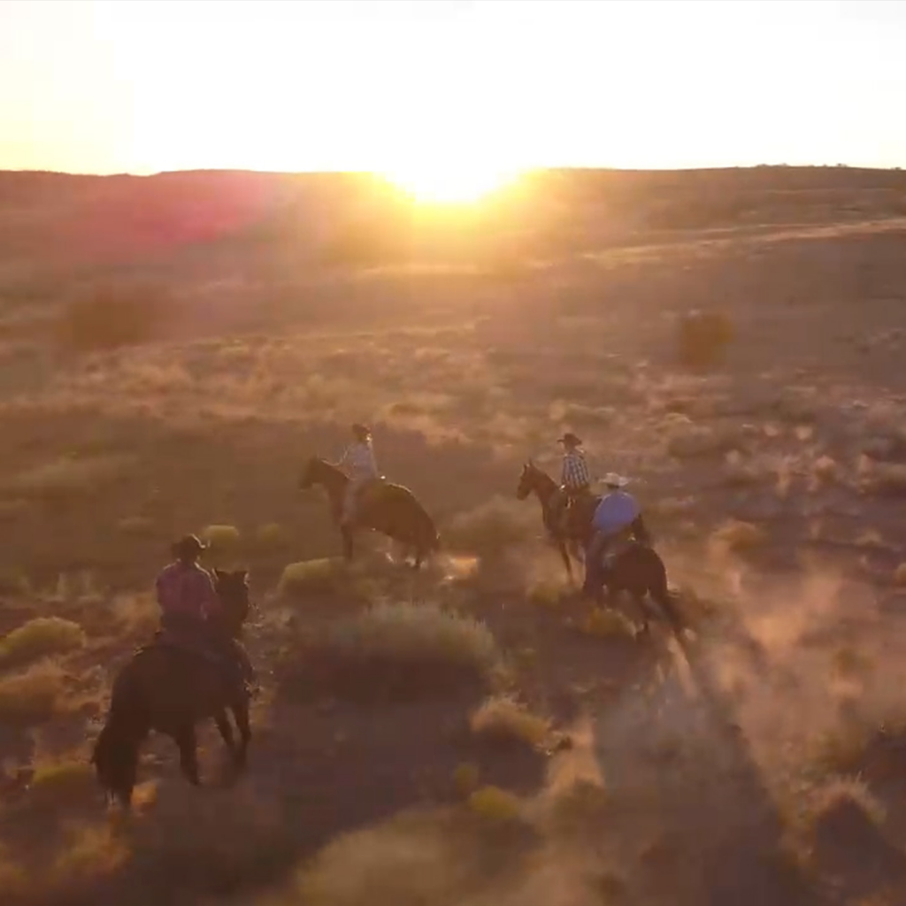 Horses running in the sunset across the desert